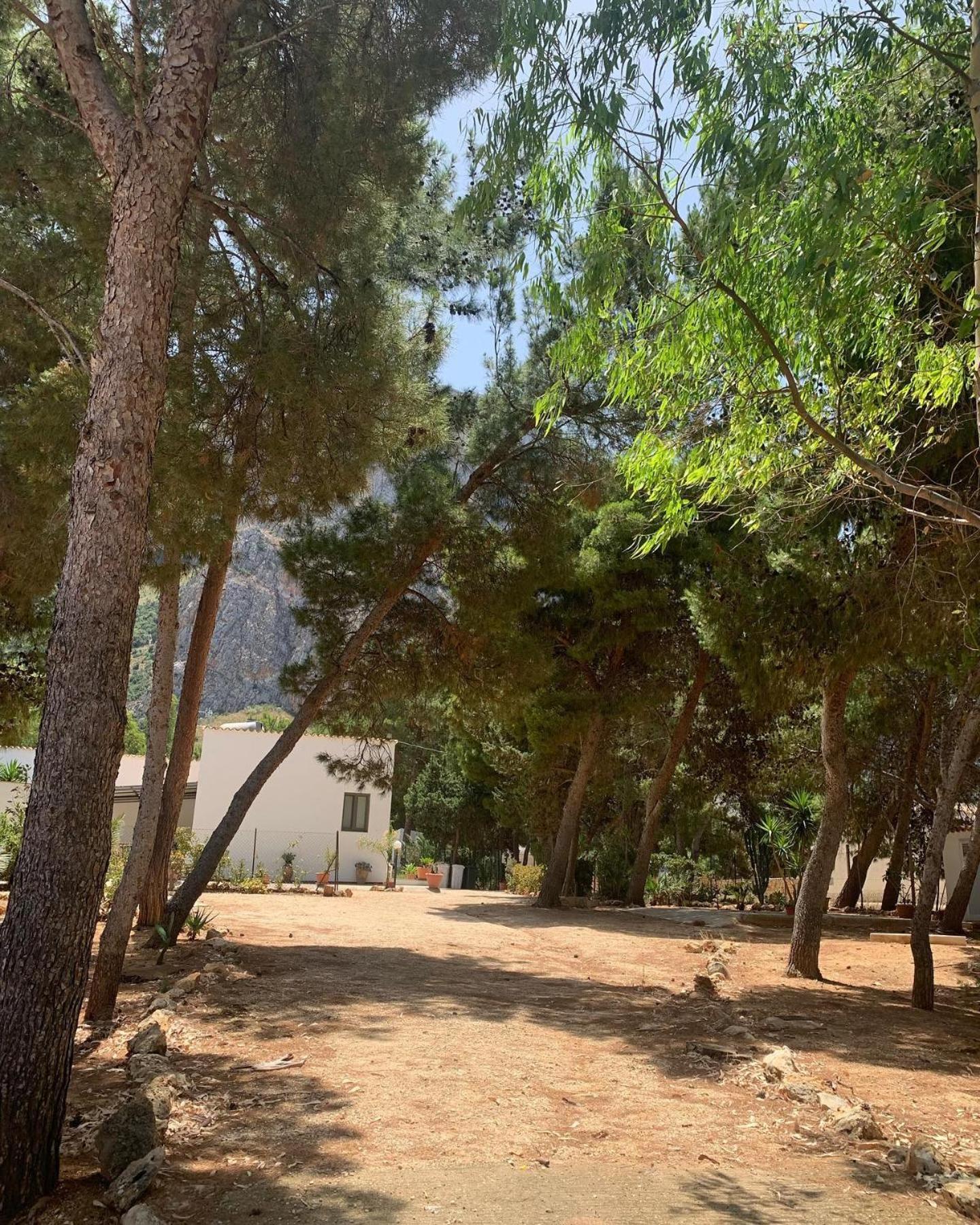 Riserva Monte Cofano Castelluzzo Esterno foto